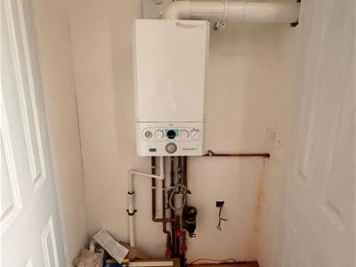 Picture 21